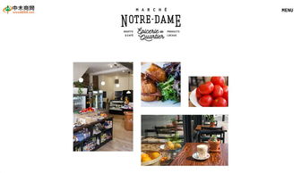 中木商网 一站式木材行业平台，全方位满足您的需求